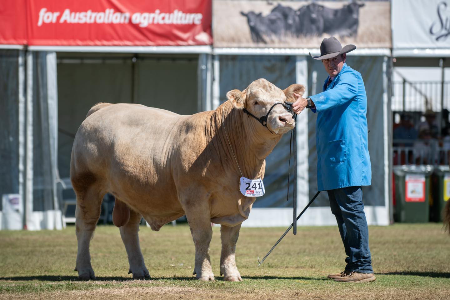 489905659_1254788023318222_8122892100818701232_n