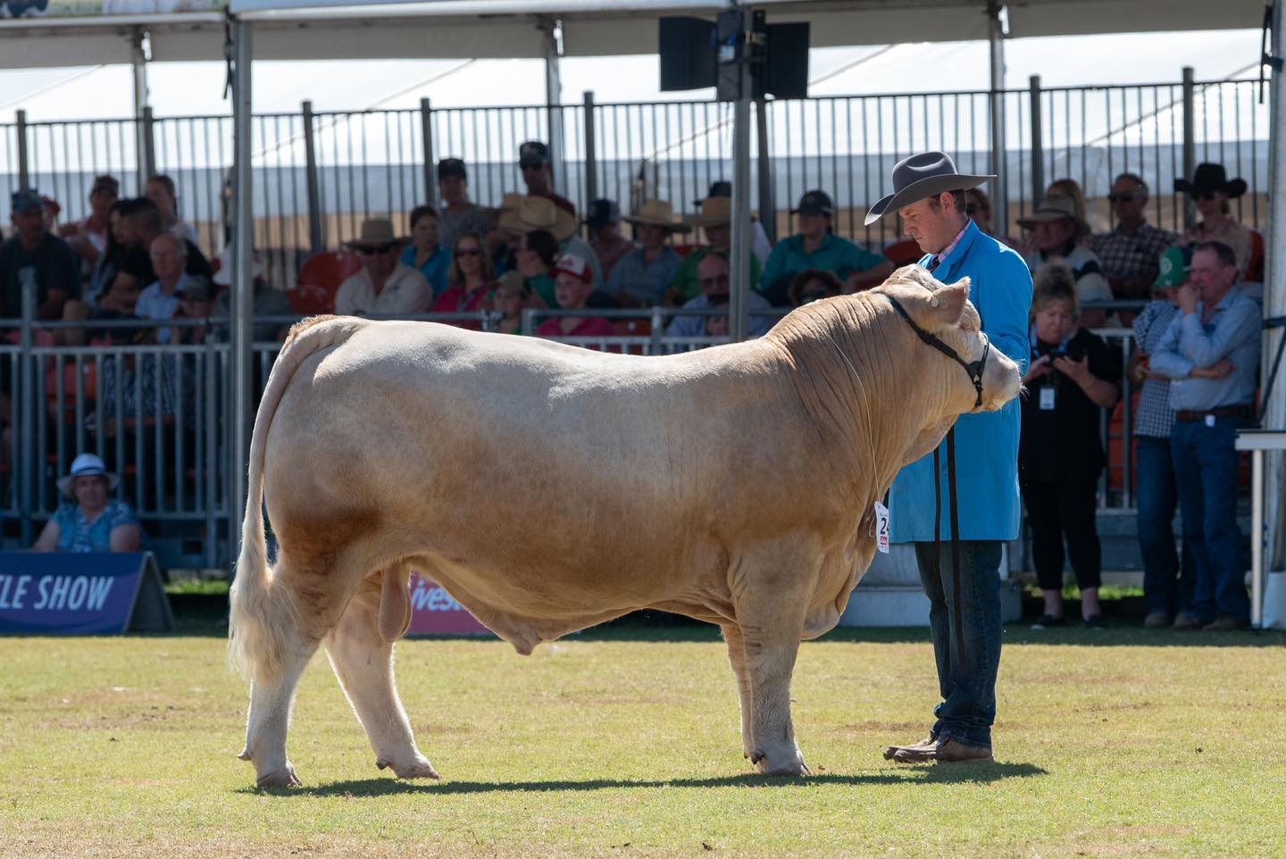 490181093_1254788079984883_2476510546719194252_n