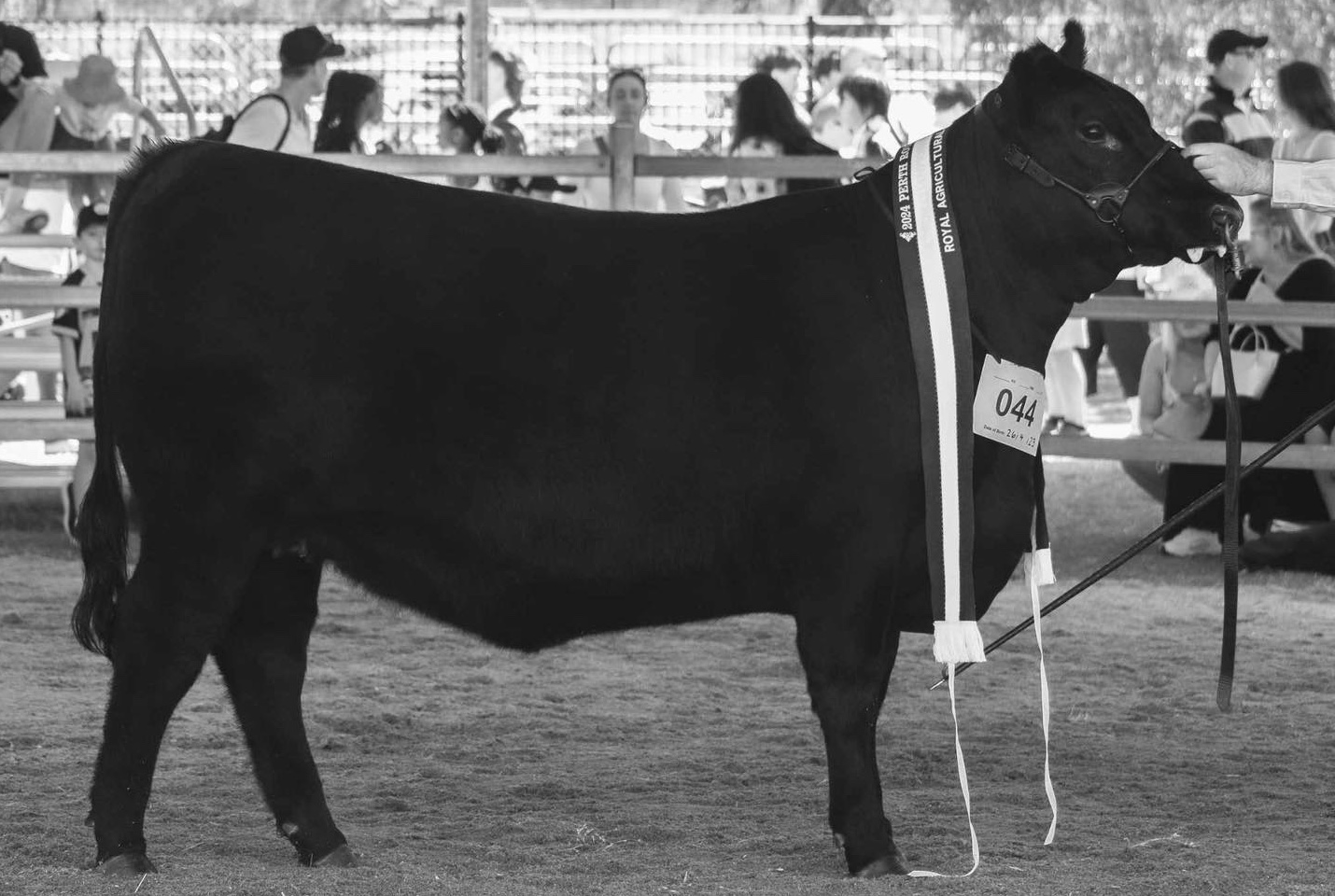 491283153_1261368572660167_1229450241466356477_n