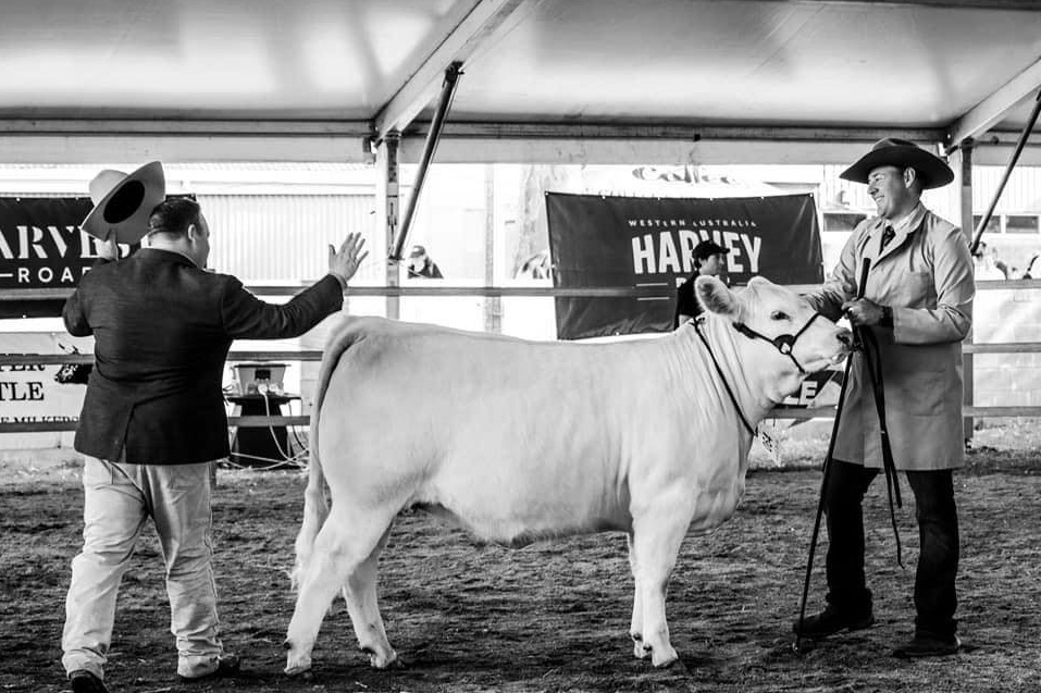 491419010_1261368479326843_8577620582271460064_n