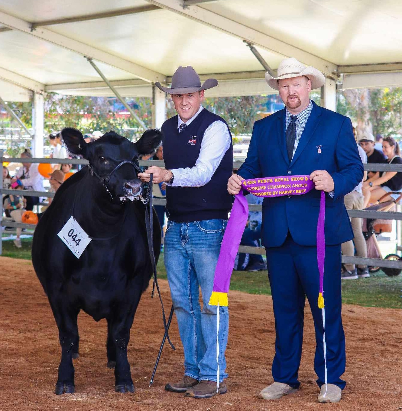 491476236_1261368702660154_1160924994362511882_n