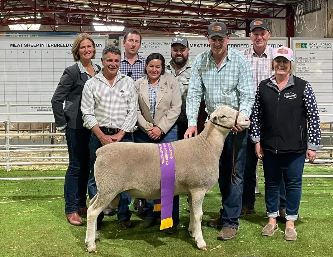 491912475_1261368462660178_6366988914393627746_n