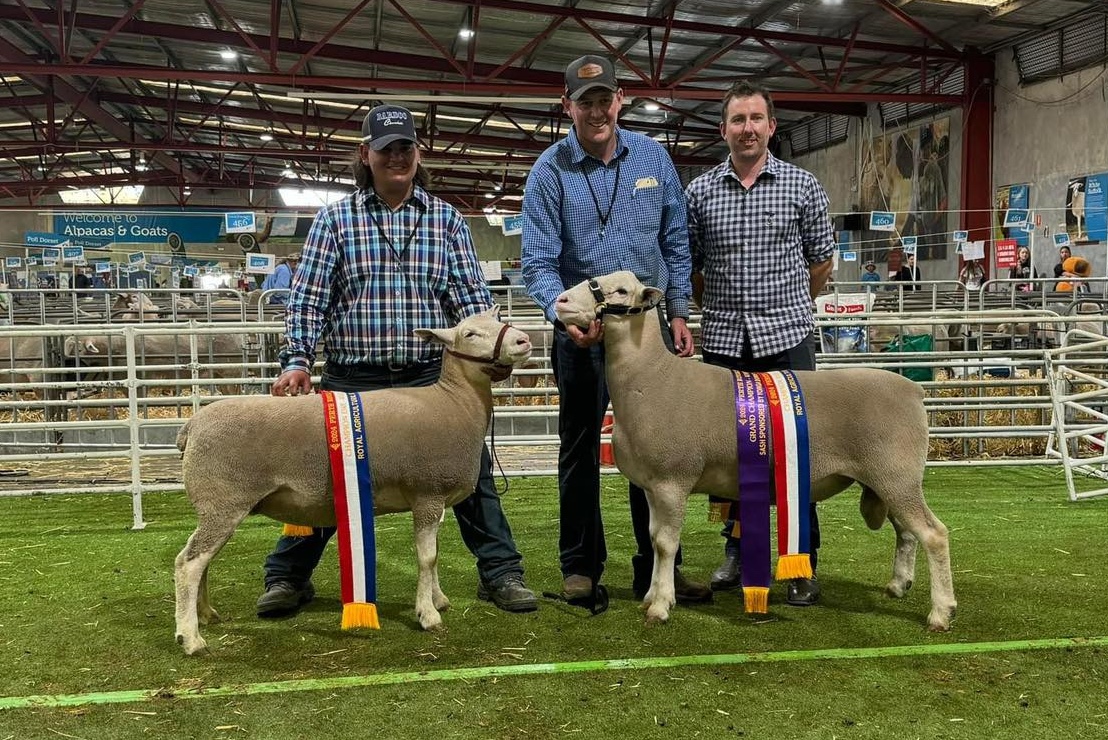 491942479_1261368375993520_773262793922868343_n