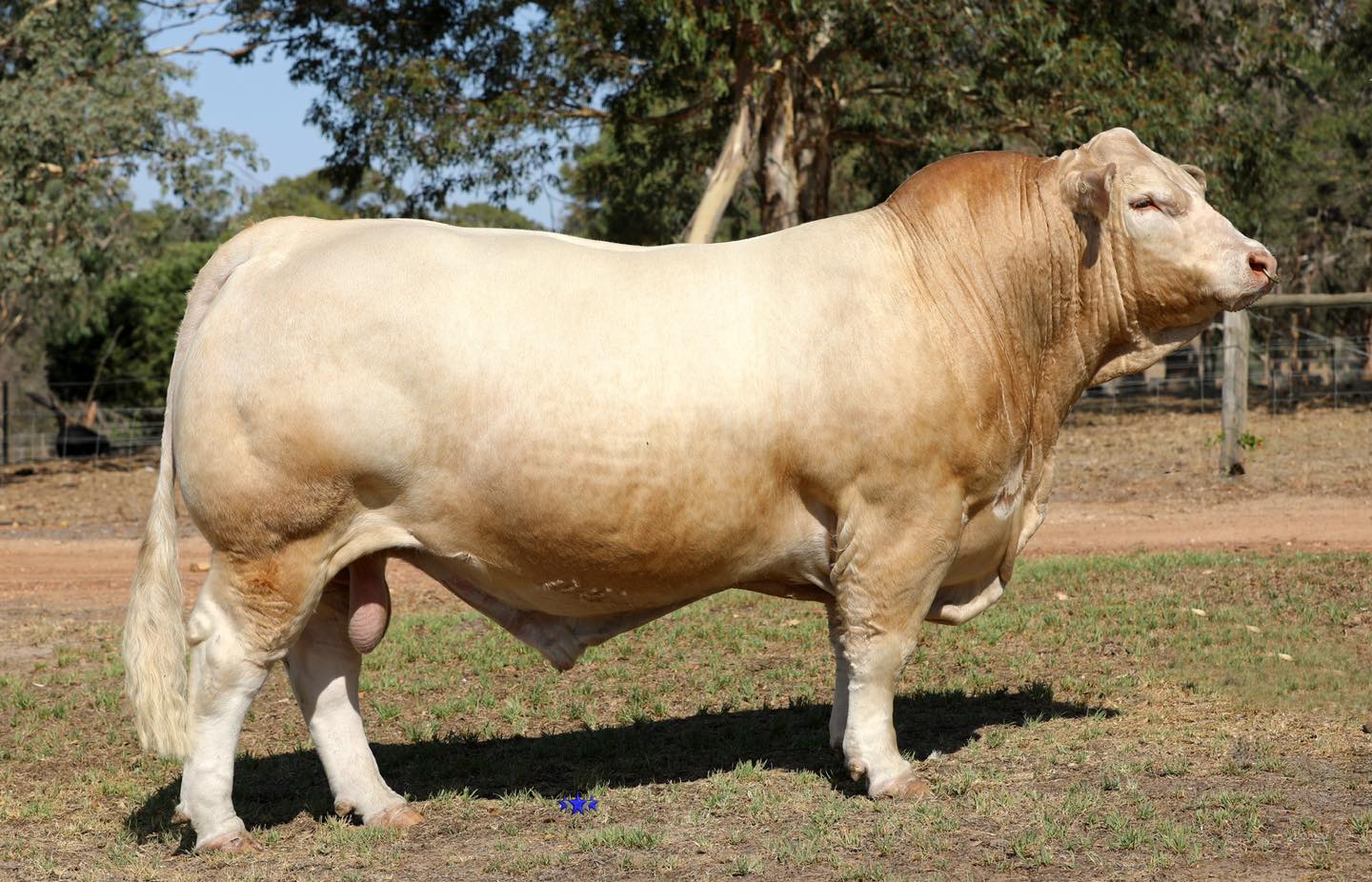 494147345_1271248335005524_5918332648473068870_n