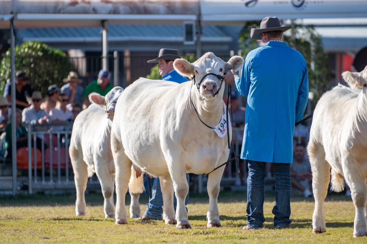 499706341_1290206759776348_3567723636484963237_n