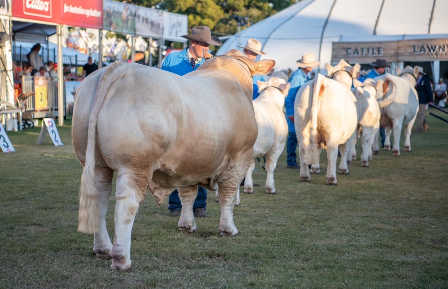 499865723_1290206339776390_4427516521023233855_n