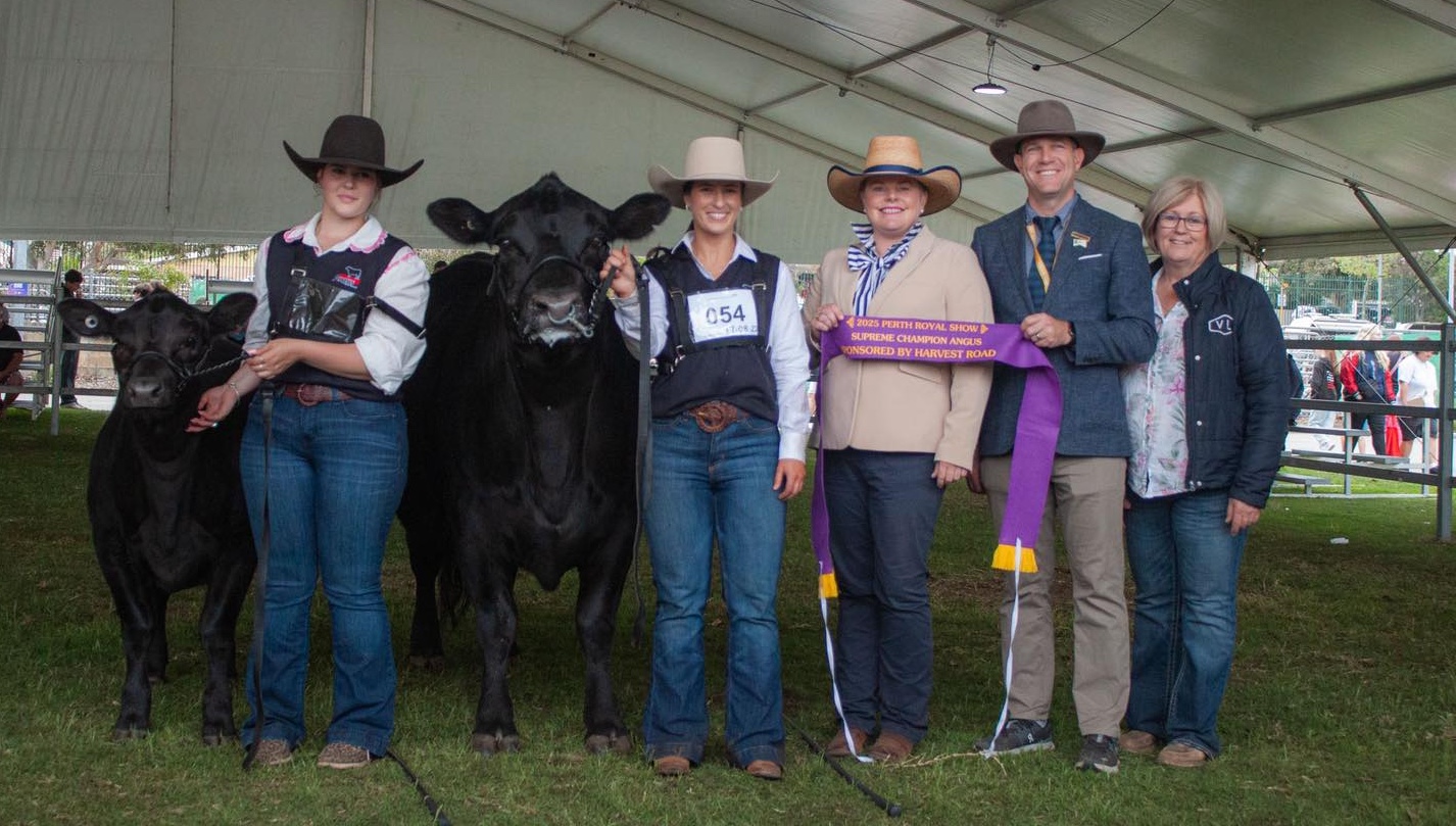 557273366_1422592333204456_4687663850469461086_n