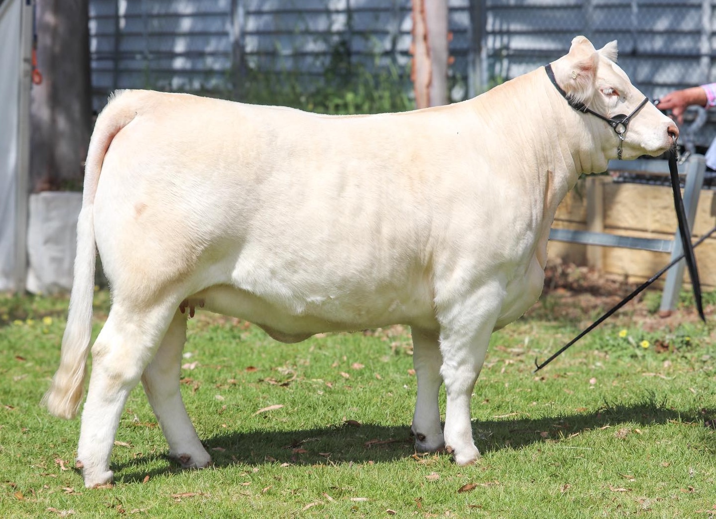 557319881_1422592356537787_8531351979437168067_n