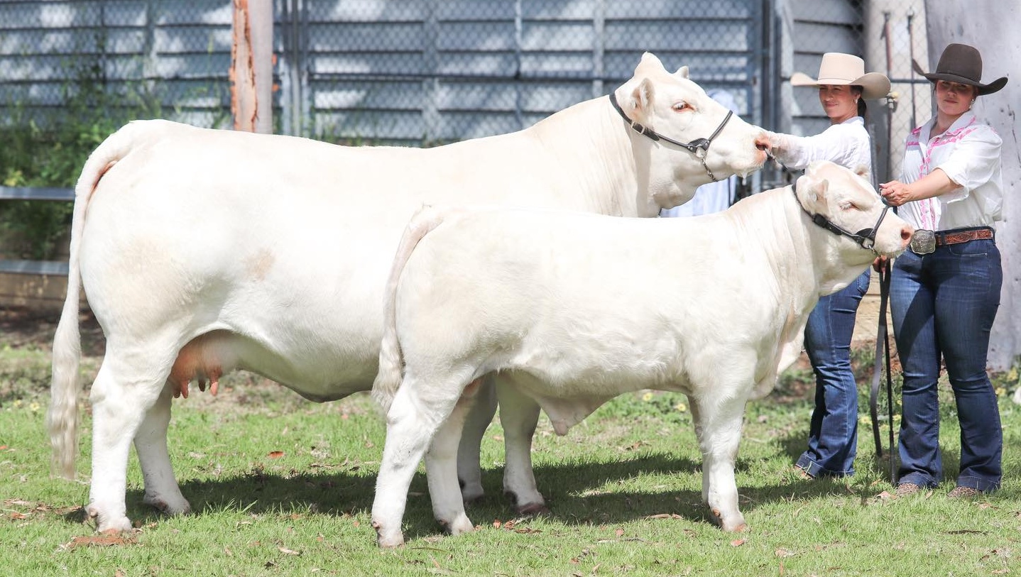 557346265_1422592269871129_4368076274961049437_n