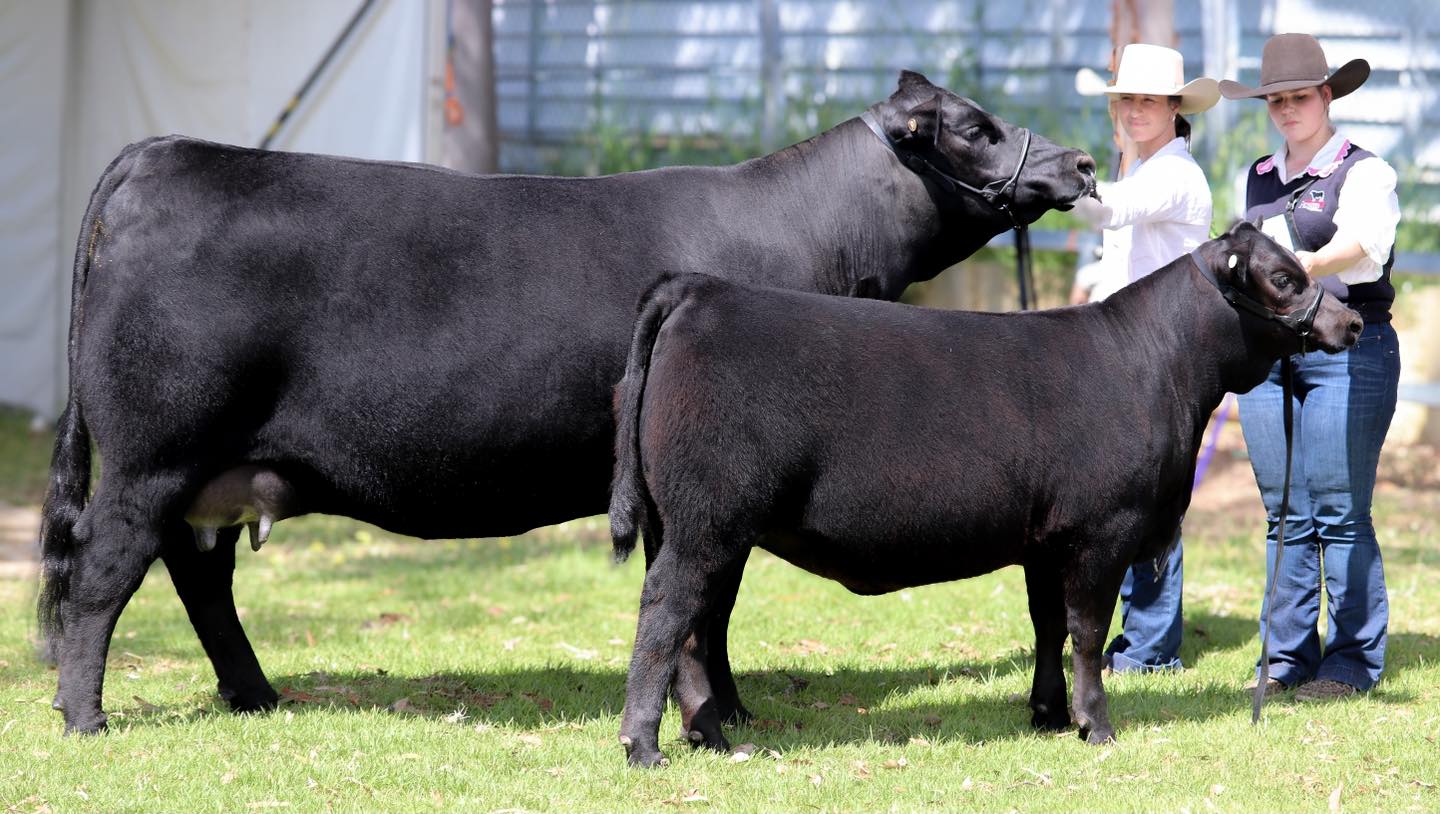 557349067_1422592293204460_7284405649849205693_n