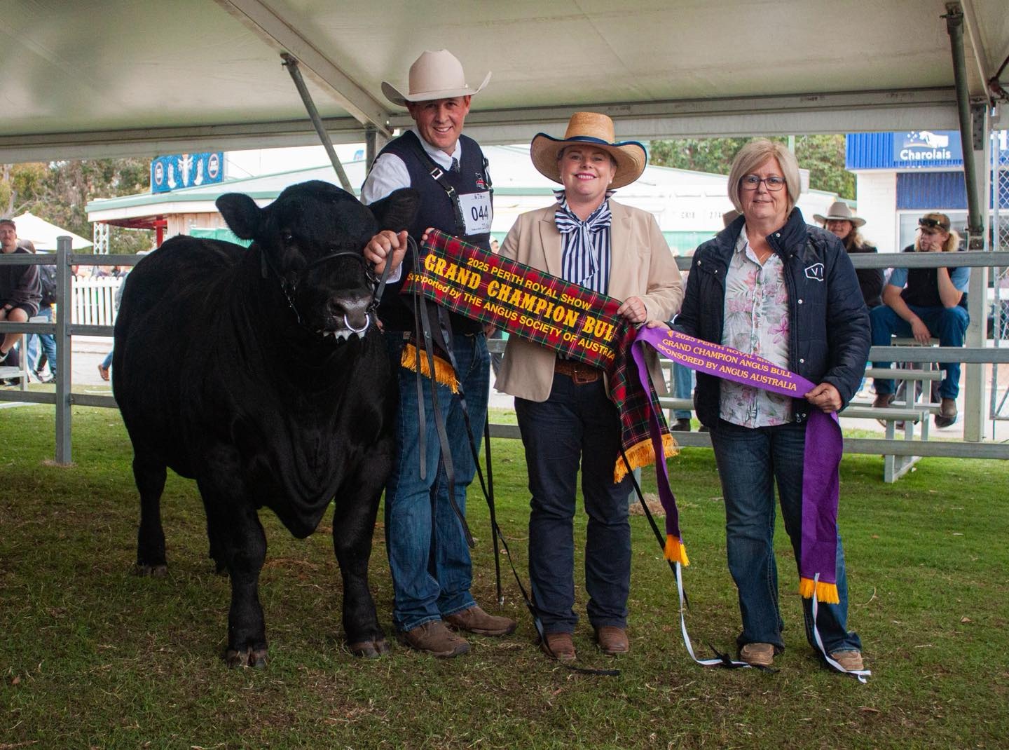 557590375_1422592406537782_5071246792942770512_n