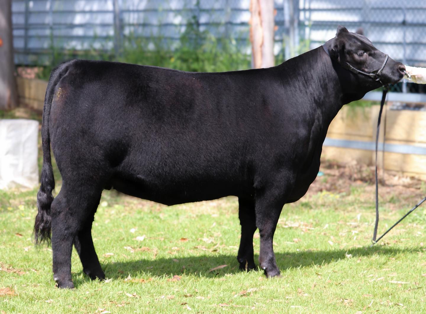 557605991_1422592303204459_8357930216344455397_n