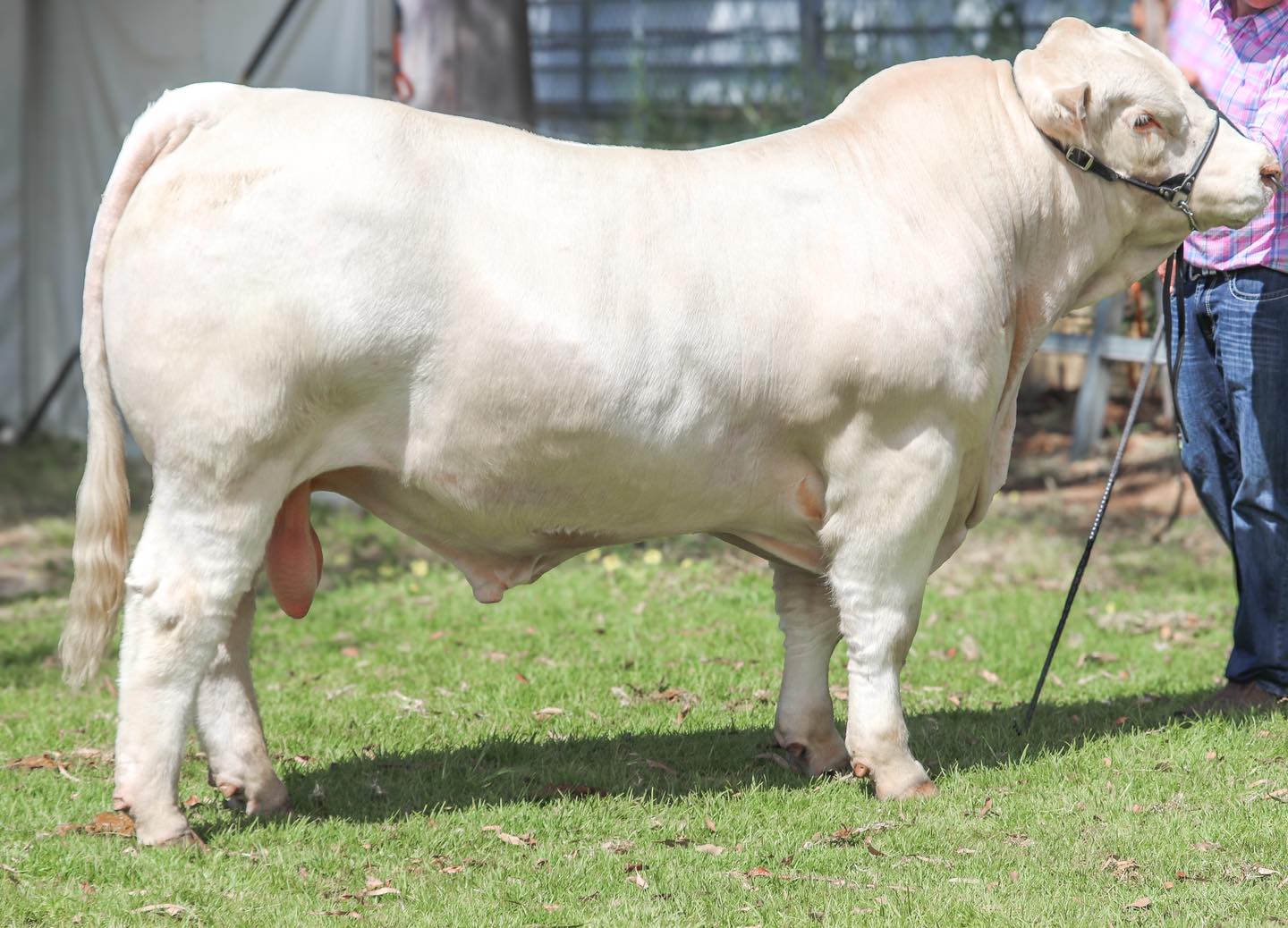 557952073_1422592336537789_1387328404430130969_n