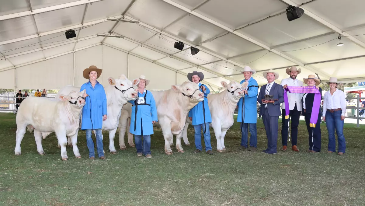 r0_356_6960_4285_w1200_h678_fmax